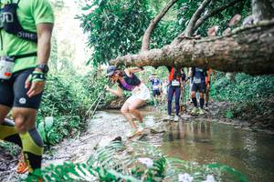 BIB: 
                            <button type="button" onclick="openModal(25476241)" class="btn btn-primary btn-sm float-right btn-popup" data-toggle="modal" data-target=".modal-high-quality">
                        <i class="fas fa-shopping-cart"></i> Add to Cart
                    </button>
                                            <button type="button" onclick="isThisMe(25476241, true)" class="btn btn-success btn-sm float-right btn-popup btn-isme hidden" data-toggle="tooltip" data-placement="bottom" title="นี่คือรูปของคุณใช่ไหม คลิกที่นี่เพื่อเอาเข้าอัลบั้ม">
                        <i class="fas fa-plus"></i> Add to album
                    </button>
                    <button type="button" onclick="isThisMe(25476241, false)" class="btn btn-warning btn-sm float-right btn-popup btn-isnotme hidden">
                        <i class="fas fa-ban"></i> Remove from album
                    </button>